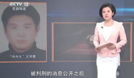 91力先生直播,揭秘网红背后的真实故事